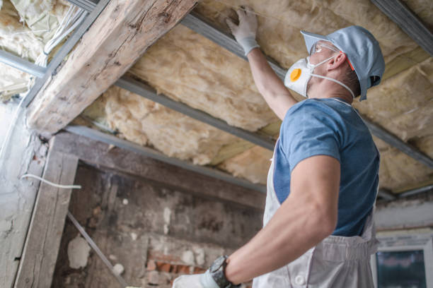 Insulation Repair Services in Agua Dulce, TX