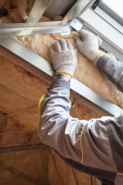 Best Energy-efficient Insulation  in Agua Dulce, TX