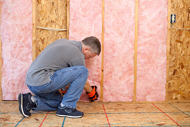 Best Soundproof Insulation Installation  in Agua Dulce, TX